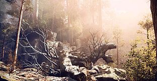 The House In The Hollow