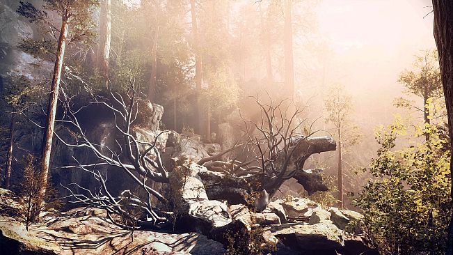 The House In The Hollow