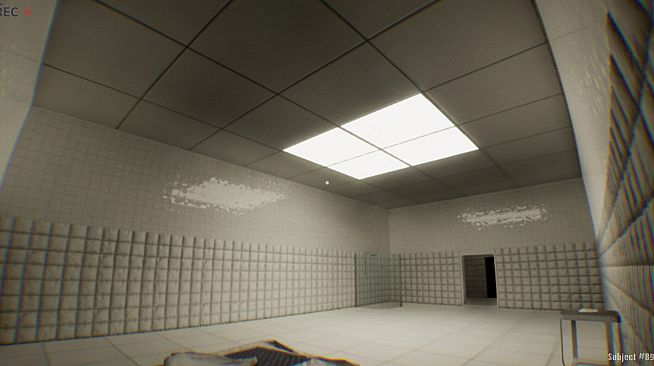 The Milgram Experiment