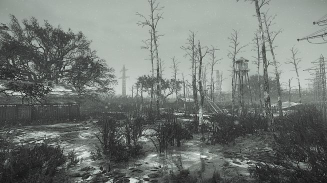 Investigator - New Year DLC