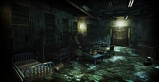 Asylum