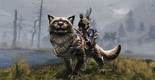 Guild Wars 2: Janthir Wilds Expansion