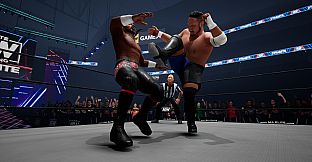 AEW: Fight Forever - World War Joe