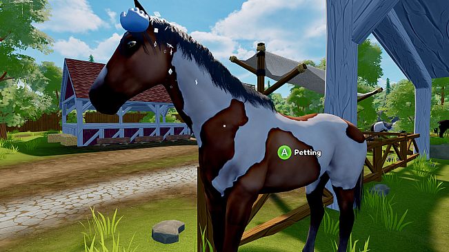 Sophia’s Animal Clinic – Mission Wildlife Park