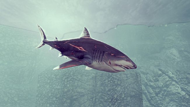 Depth - Battle-scarred Bull Skin