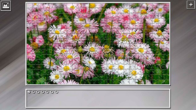 Super Jigsaw Puzzle: Generations - Flowers 2