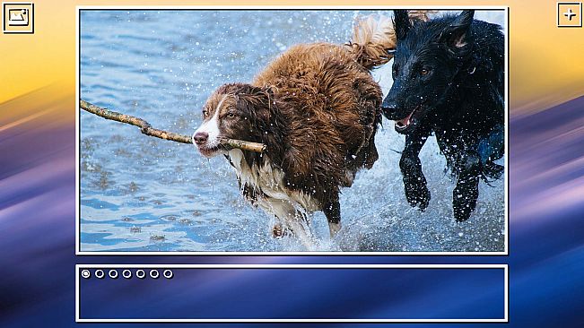 Super Jigsaw Puzzle: Generations - Dogs Puzzles