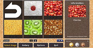 Jigsaw Masterpieces : Food Texture