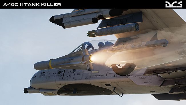 DCS: A-10C II Tank Killer