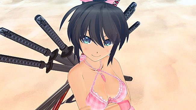 SENRAN KAGURA ESTIVAL VERSUS - Surprise Pack