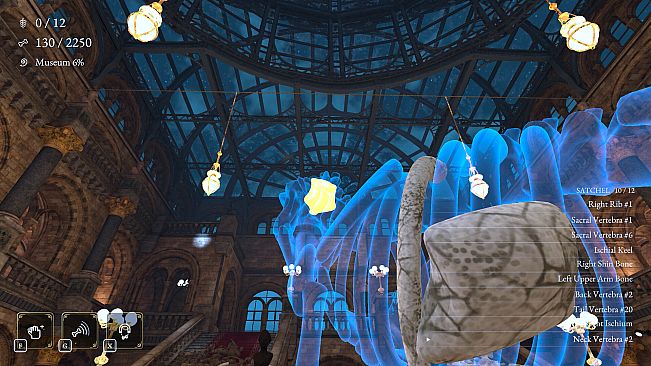 DinoBones: Tidy Up the Museum
