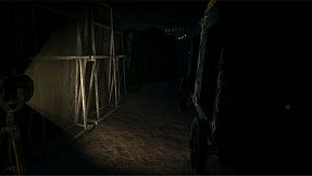 The Moonlight Circus