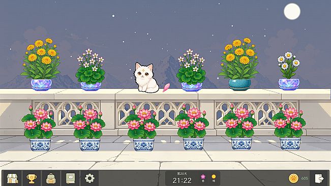 Bloom Cats