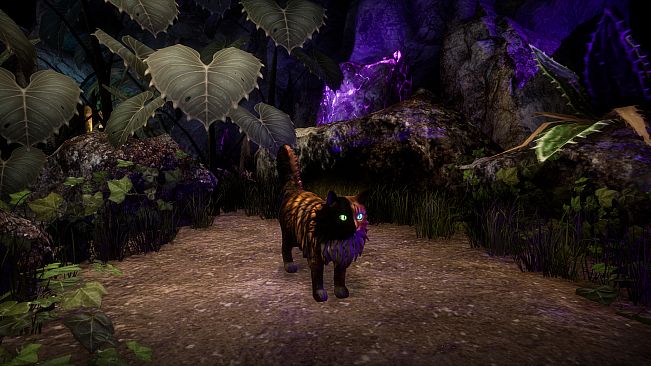 Another Sight - Hodge Skins