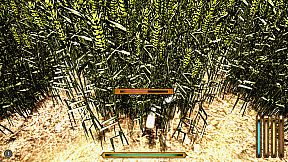 Medieval simulators: Baker