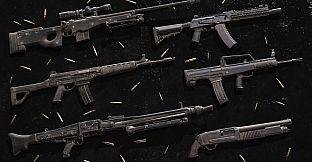 Insurgency: Sandstorm - Dusty Weapon Skin Set