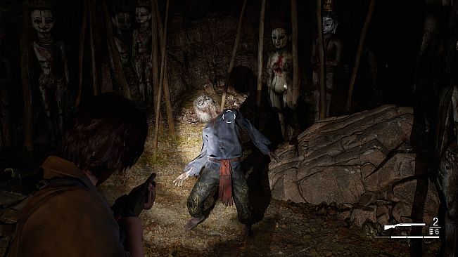 The Twilight Project