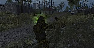 Anomaly Zone Renovation