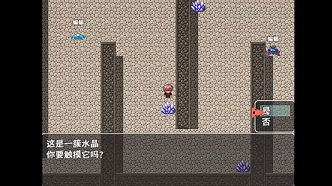 老夏的逆袭人生