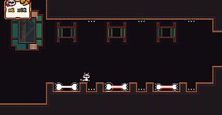 Rogue Raccoon Xbox + Windows Bundle