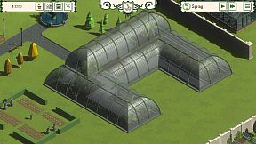 Palm Paradise Garden