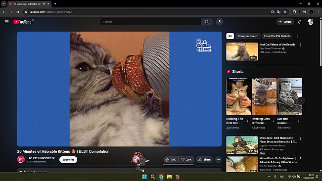 Pawoki: Desktop Pets