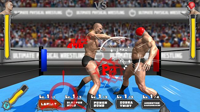 Ultimate Physical Wrestling