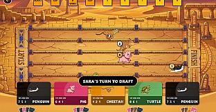 Animals Race