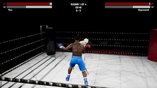 Boxing Simulator