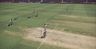 Don Bradman Cricket