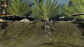 骸亡禁决：Skeleton King