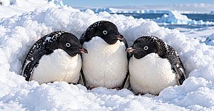 Puzzle Penguins Artbook