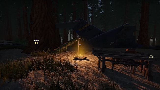 Missing Plane: Survival