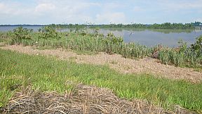 HIKE: Beyond the Trails