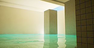 Backrooms: The M.E.G.