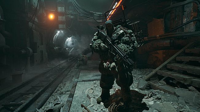 The Forever Winter - Fleshwraps Skin Pack