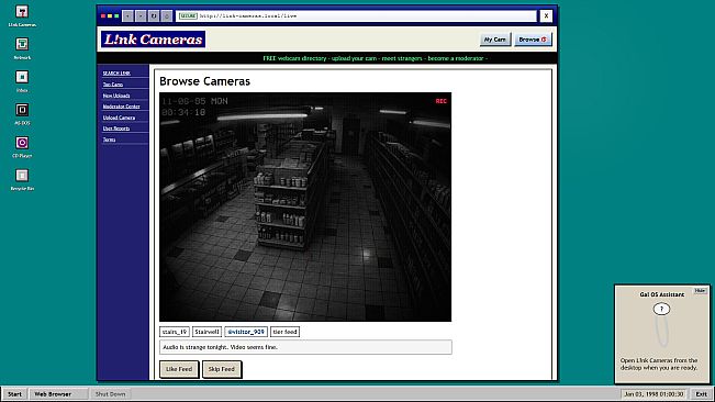 Link Cameras