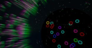 Double Bubble Blaster Madness VR