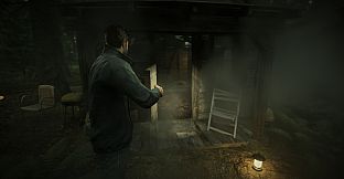 The Pines