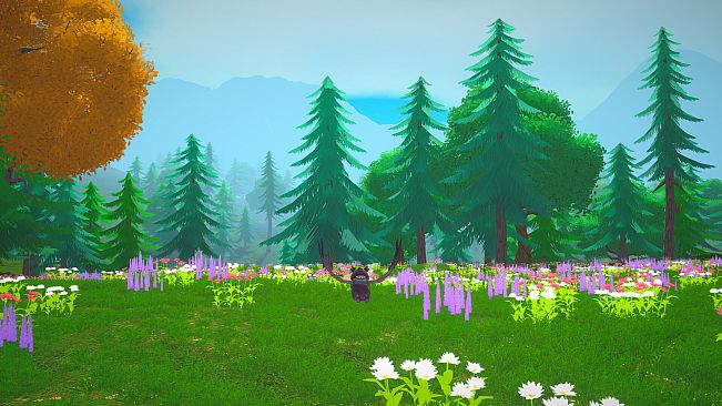 Wizards Owl: Magic Delivery