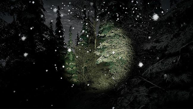 My Grandparents' Christmas Mystery