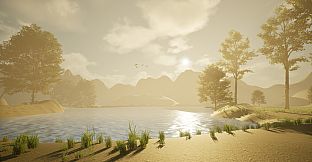 BEYOND XII
