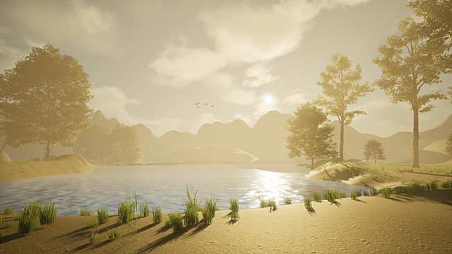 BEYOND XII