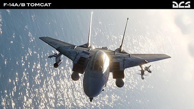 DCS: F-14A/B Tomcat by Heatblur Simulations