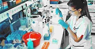 Afterlife Pharmaceuticals