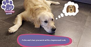 Golden Retriever Simple Life