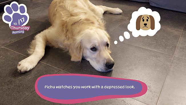 Golden Retriever Simple Life