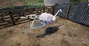 Cattle 101 -  Sample Library