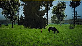 Lost Boy : Lost Island