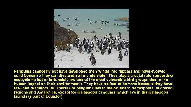 Quiz & Learn: Geography